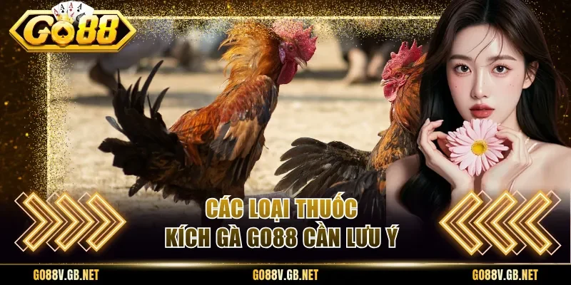 Các loại thuốc kích gà Go88 cần lưu ý