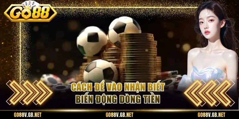 Cách để vào nhận biết biến động dòng tiền