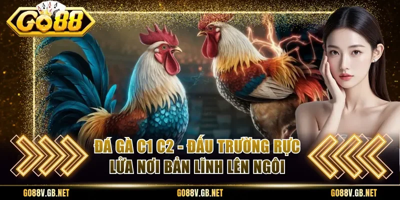 Đá Gà C1 C2 - Đấu Trường Rực Lửa Nơi Bản Lĩnh Lên Ngôi