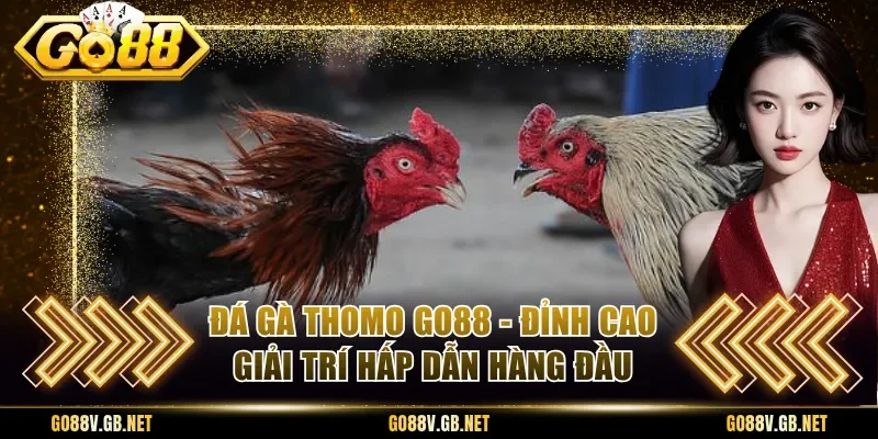 Đá Gà Thomo Go88 - Đỉnh Cao Giải Trí Hấp Dẫn Hàng Đầu