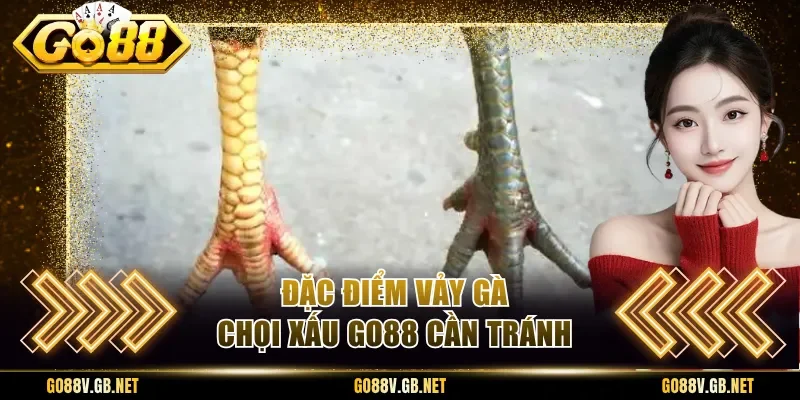 Đặc điểm vảy gà chọi xấu Go88 cần tránh
