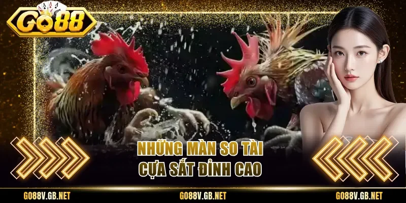 Những màn so tài cựa sắt đỉnh cao