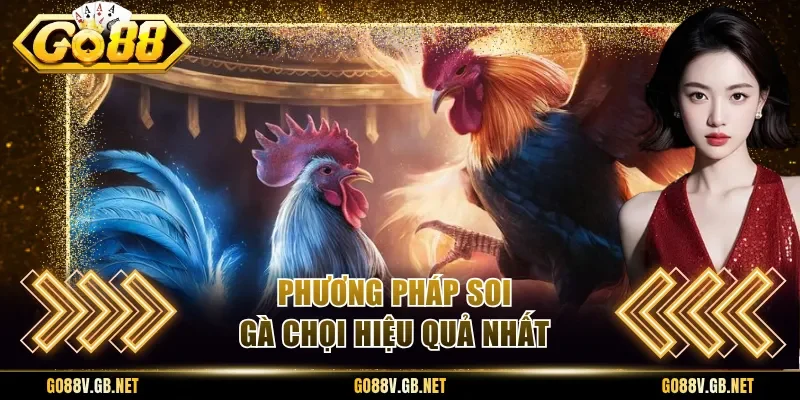 Phương pháp soi gà chọi hiệu quả nhất