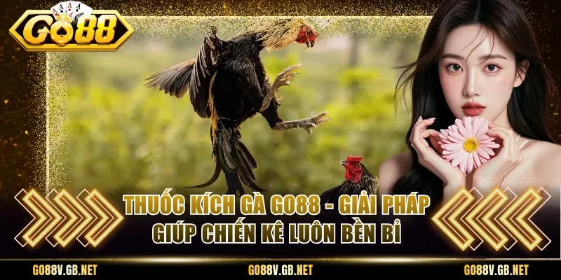 Thuốc Kích Gà Go88 - Giải Pháp Giúp Chiến Kê Luôn Bền Bỉ