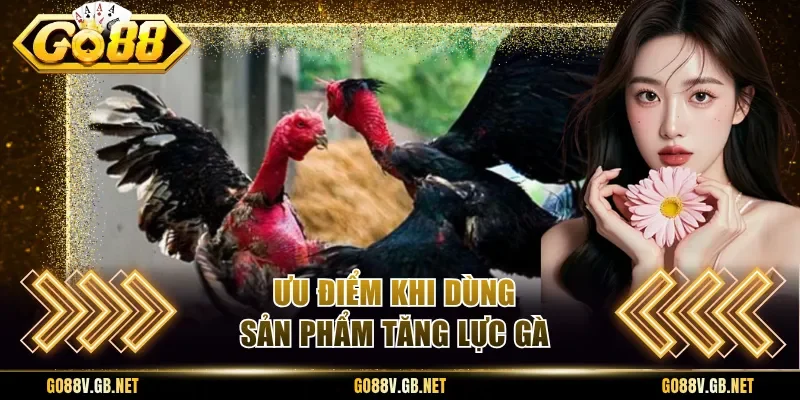 Ưu điểm khi dùng sản phẩm tăng lực gà